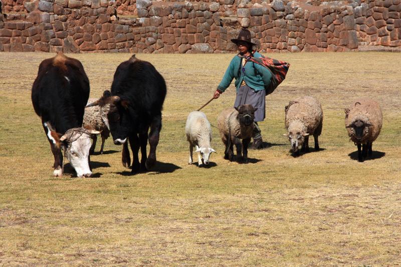 374-Chinchero,10 luglio 2013.JPG